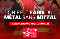 Nationalisation de Mittal France